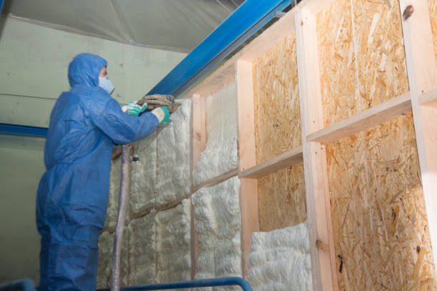 Best Home Insulation Services  in Oshkosh, WI